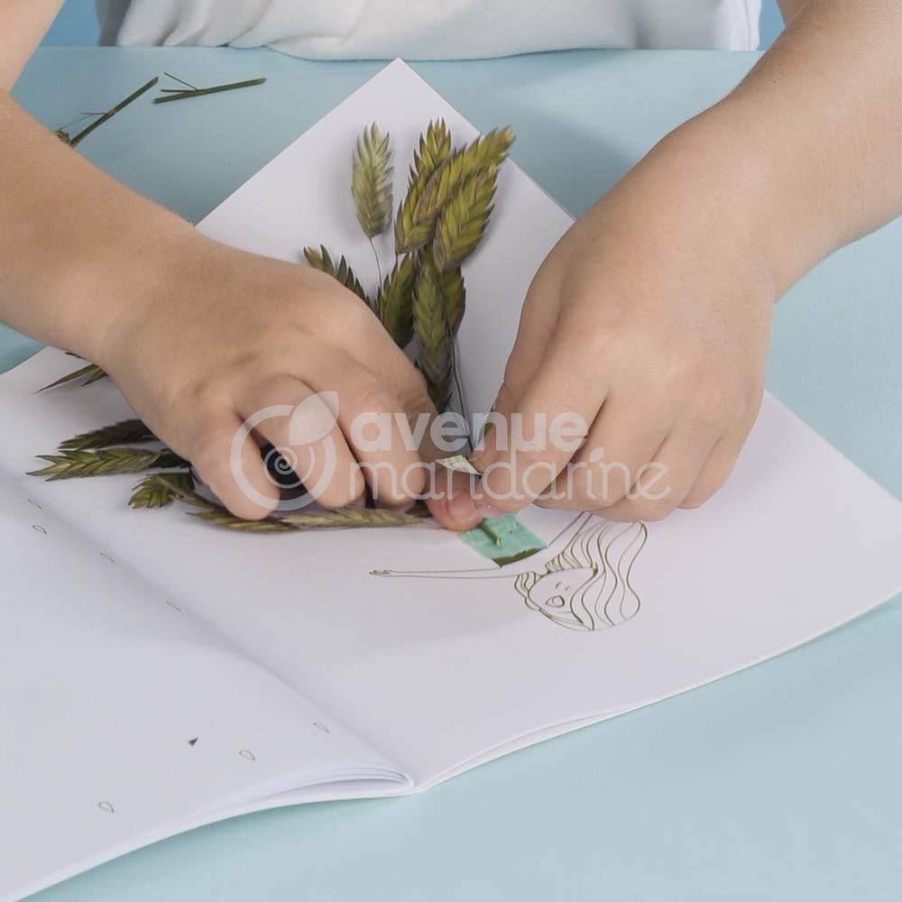 Blumen- und Kräuterpresse Kreativset, Blumenpresse und Herbarium