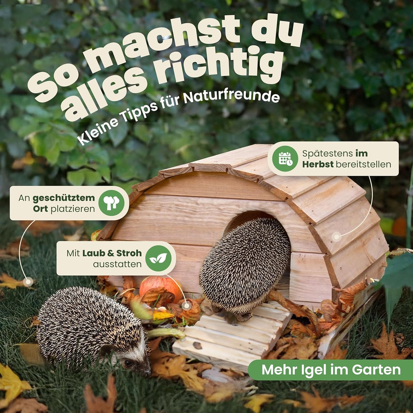 Winterfestes Igelhaus mit Labyrintheingang, Mittelbraun