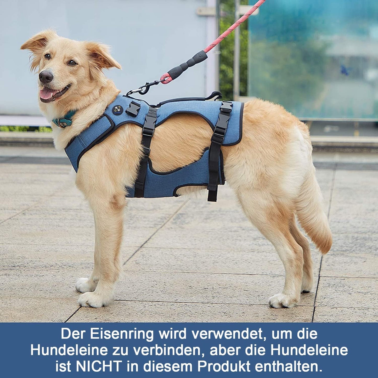 Hundelift Geschirr, M Blau