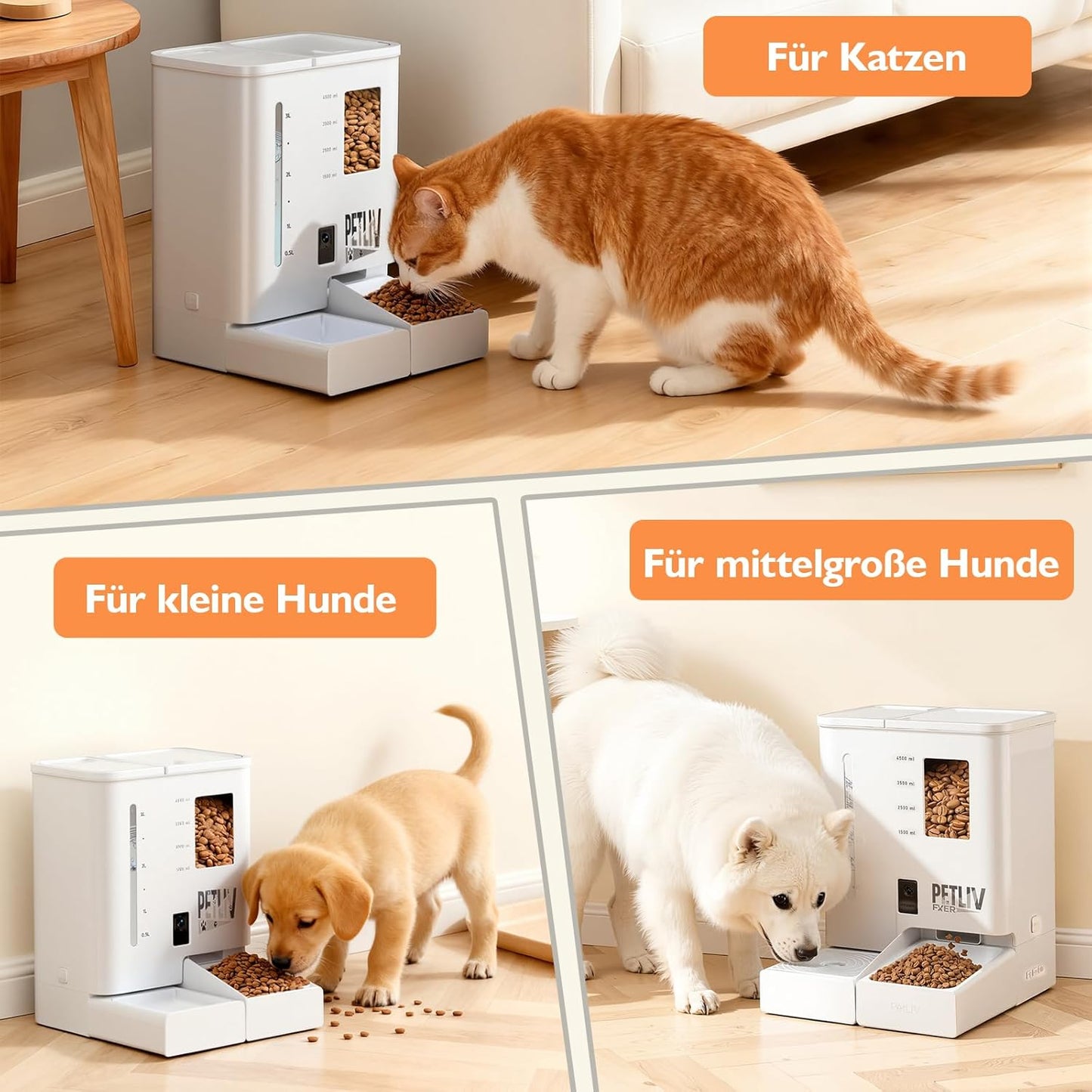 Futterautomat mit Kamera und App-Steuerung