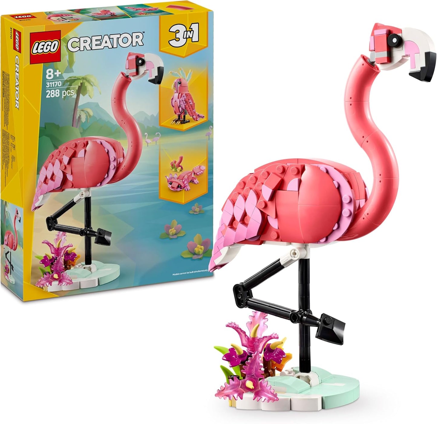 Wilde Tiere: Rosa Flamingo