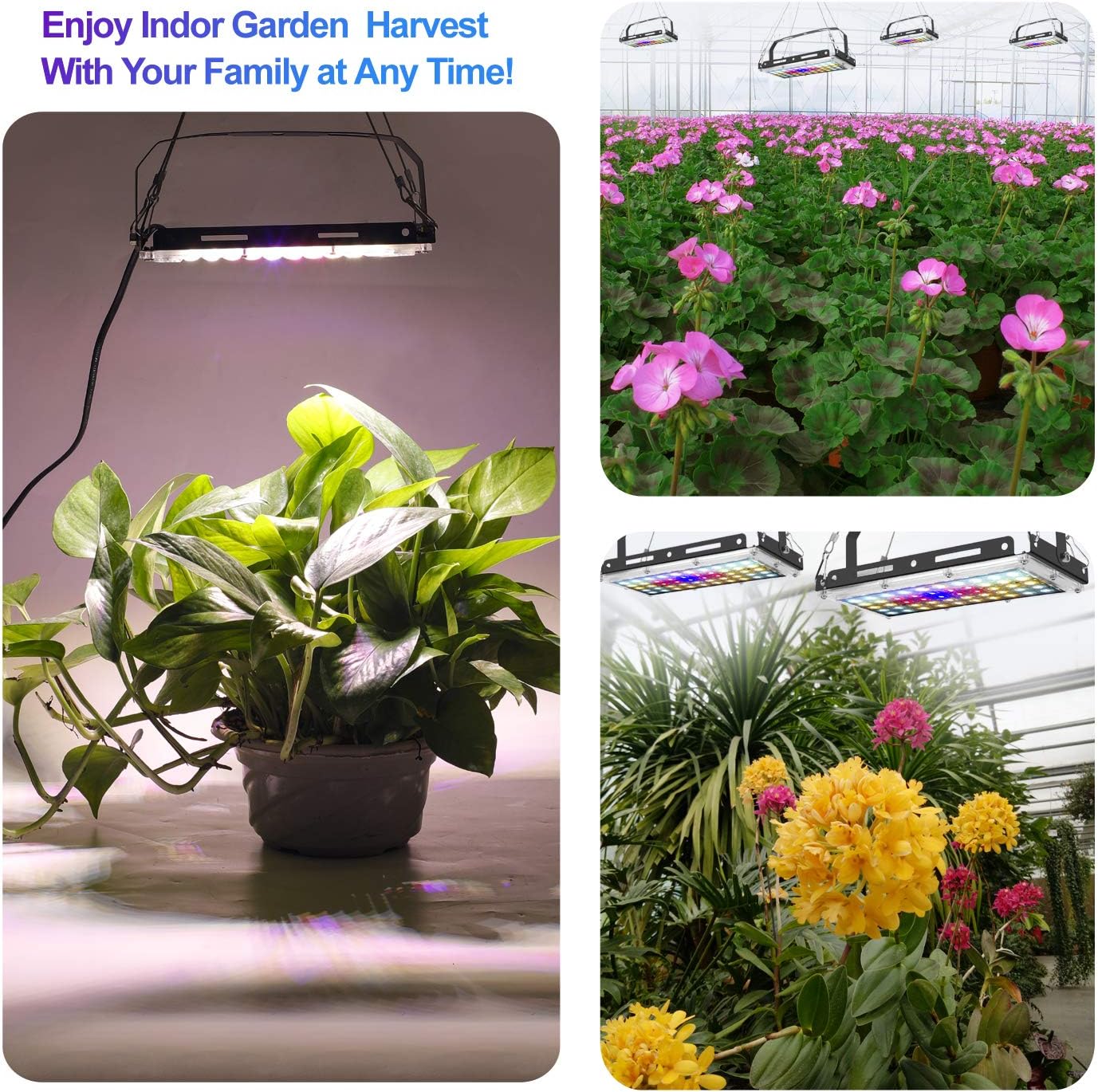 LED-Pflanzenlampe