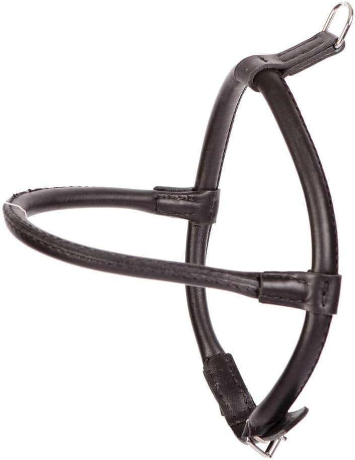 Ledergeschirr, Schwarz, 50-61 cm S