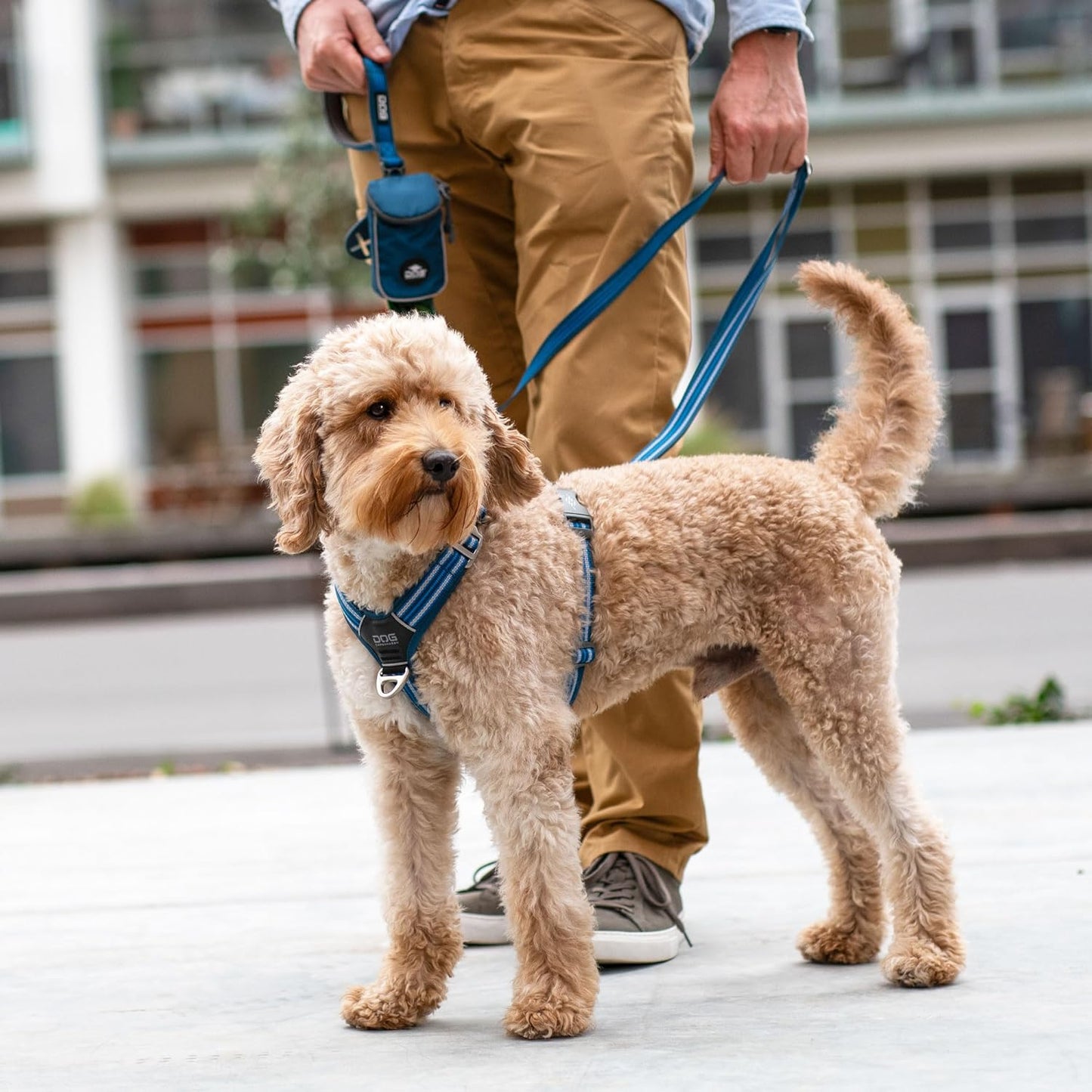 Comfort Walk Air 3.0 Hundegeschirr, Desert Dune XL