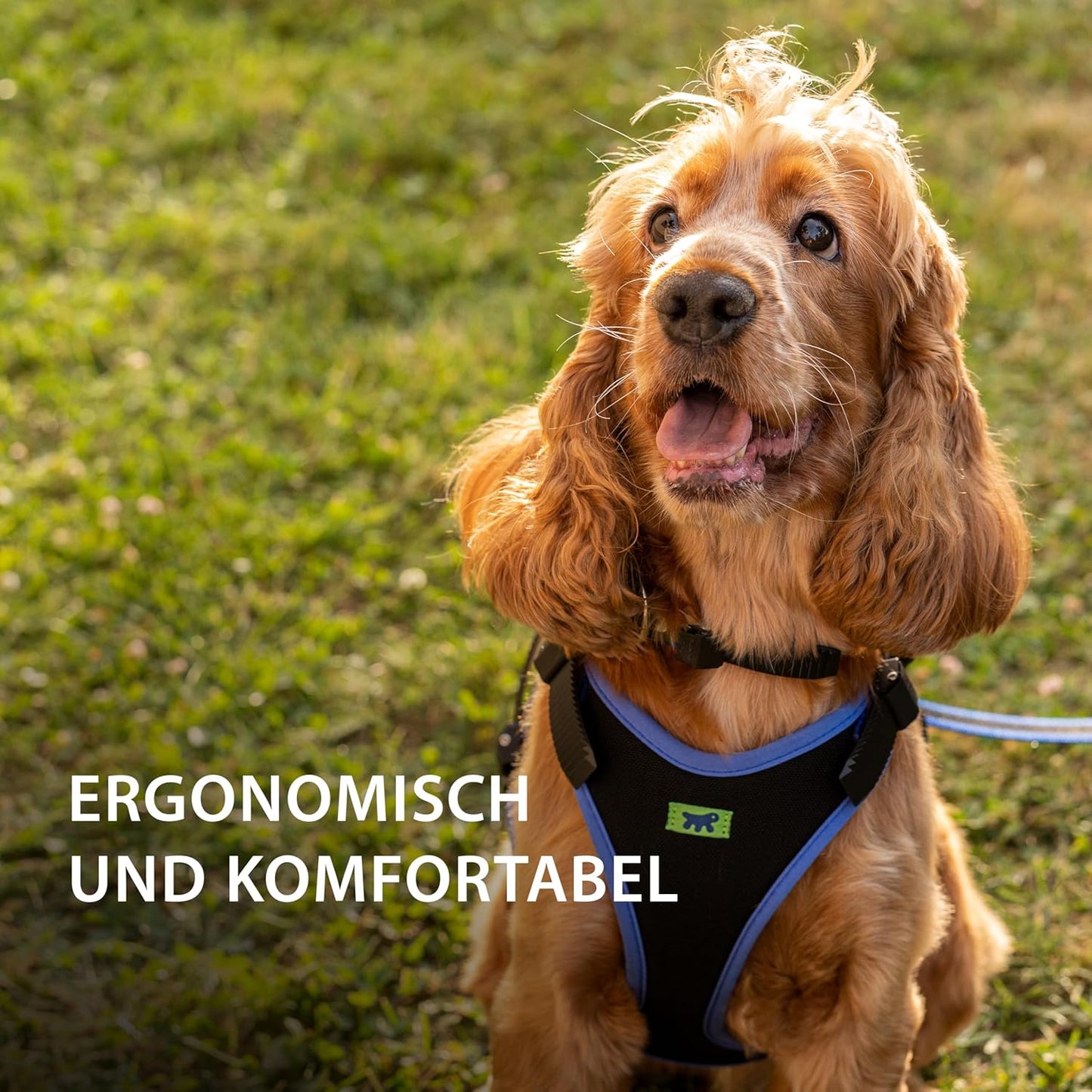 Verstellbares Ergocomfort Hundegeschirr, Halsumfang: 37-47 cm/ Brustumfang: 55-65 cm, blau