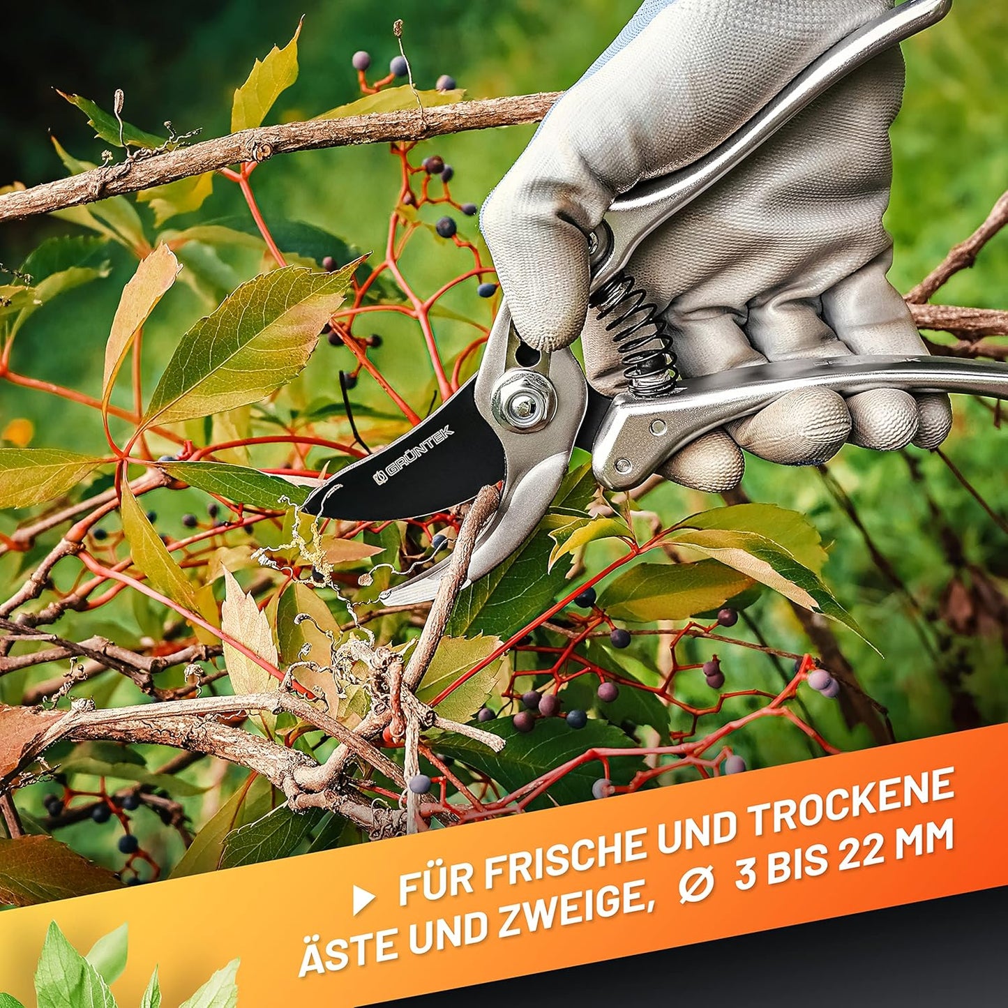 Gartenschere - Silberschnitt-Bypass, 4. Silberschnitt-Bypass