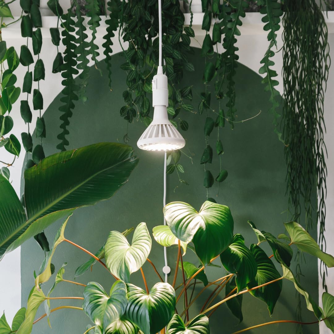 LED-Pflanzenlampe