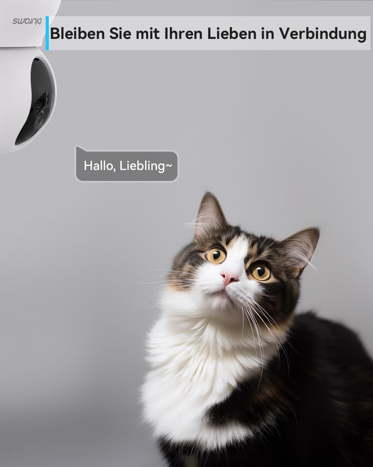 2K WLAN Überwachungskamera mit 360° Sicht, 2K