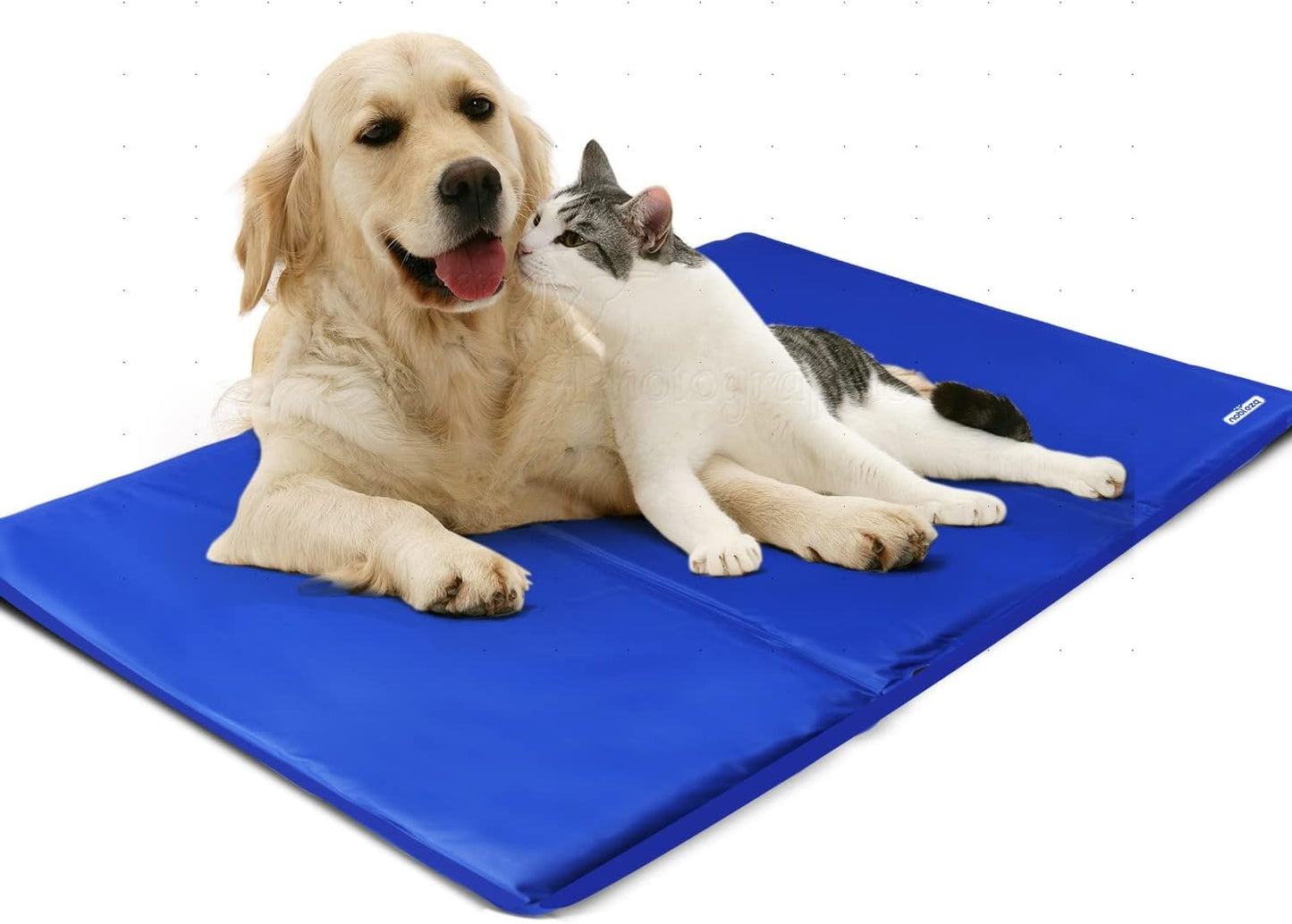 Selbstkühlende Hundematte, L 90 x B 50 x H 1 cm Blau