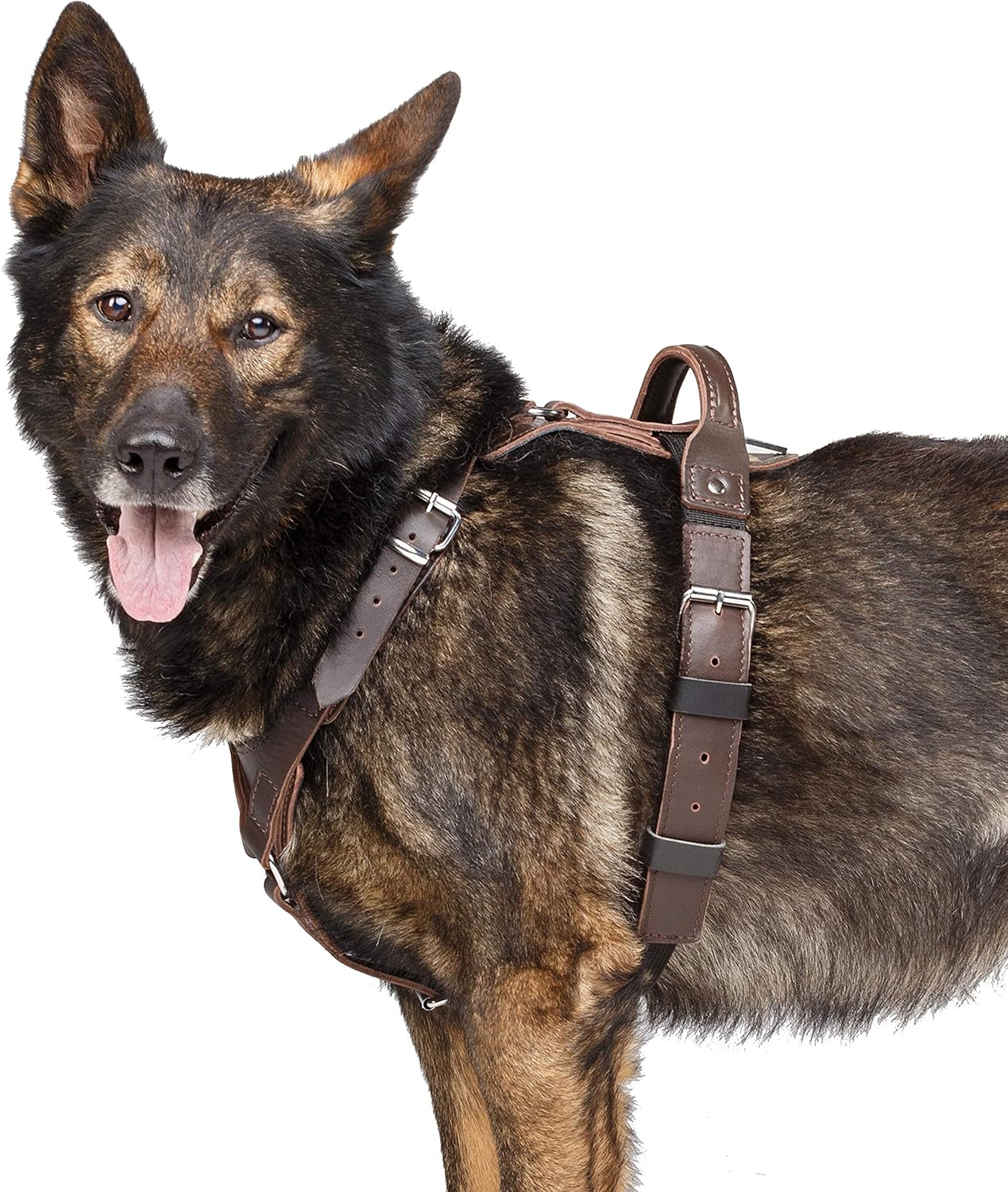 Hundegeschirr, bronze XL