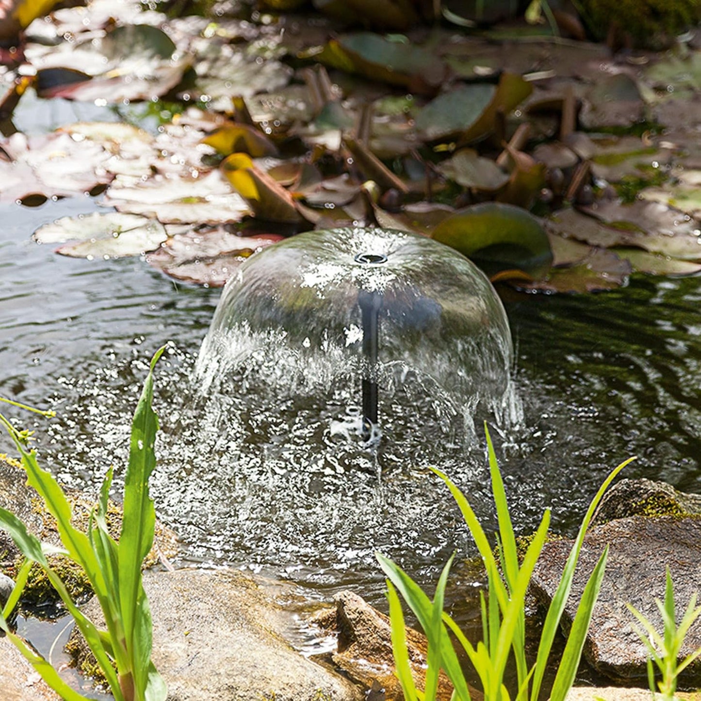 Solar-Wasserpumpe WaterSplash 20/1350 mit Sprinklerset