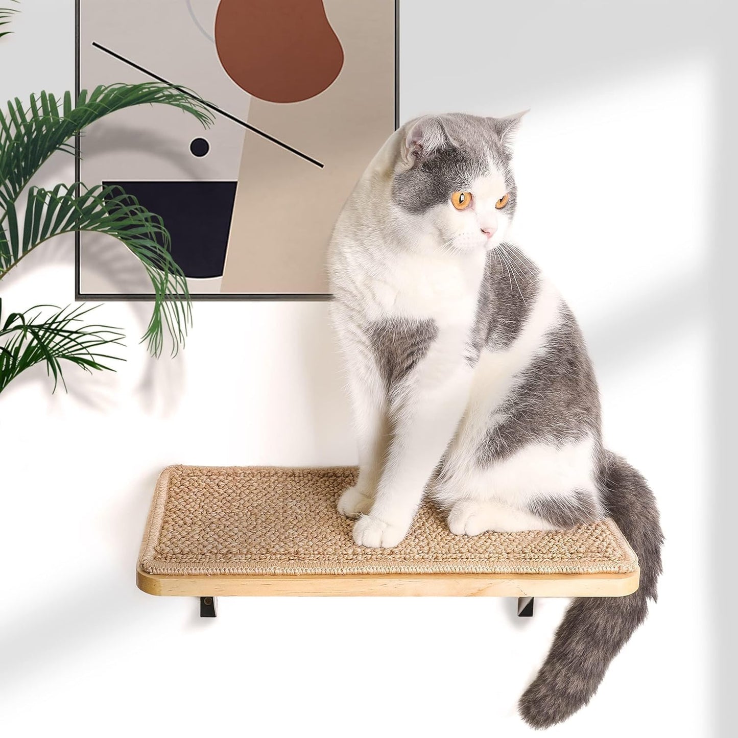 Katzen-Wandregal mit Kratzmatte, 1PC Katze Wandregal