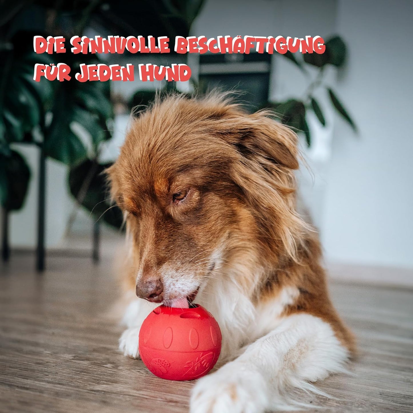 Schleckball 3er-Mix Hundesmoothie Set, Schleckball Set + 3 x 250 ml Smoothie
