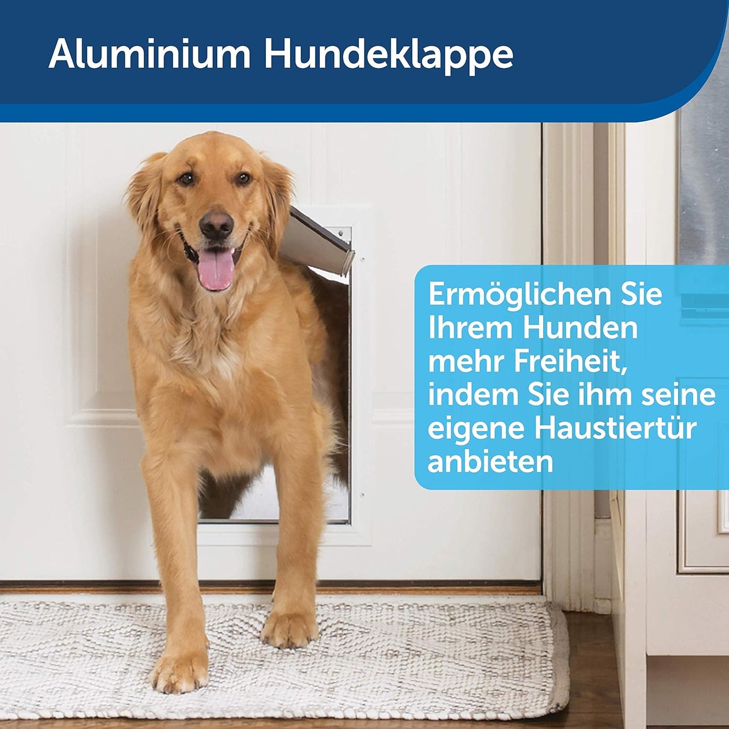 Katzenklappe, S