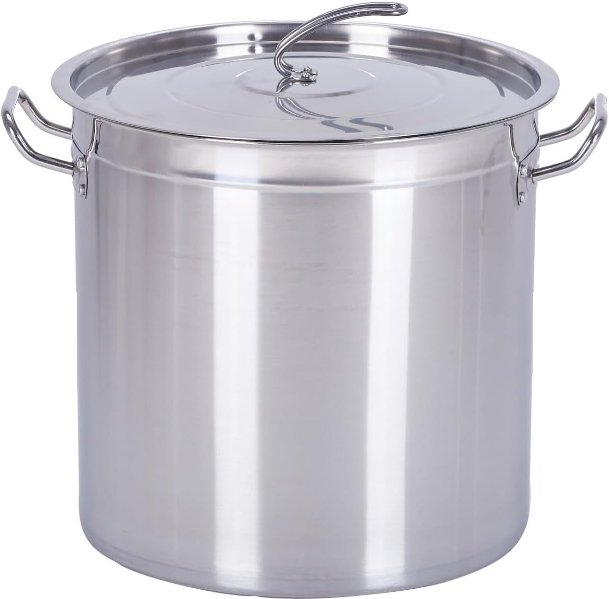 Grosser Suppentopf für alle Herdarten (15L, Edelstahl), 25x25cm (15L)