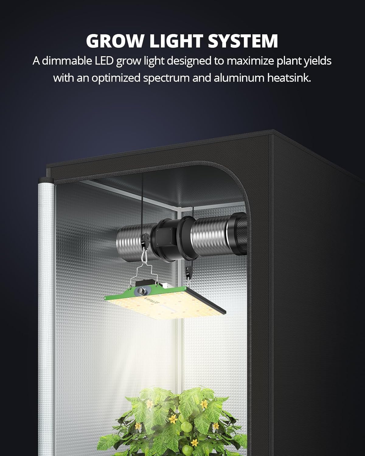 Pro Series P1000, Dimmable P1000