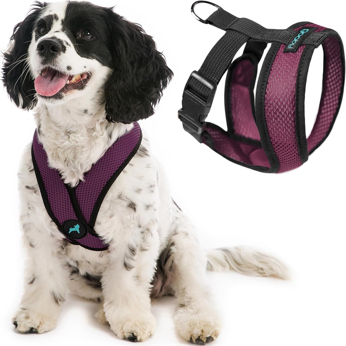 Comfort X Hundegeschirr, Small chest (9-13") violett