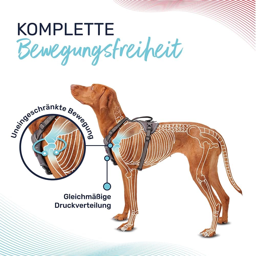 47103A Halti -  Anatomie Hundegeschirr mit Griff, Grau L