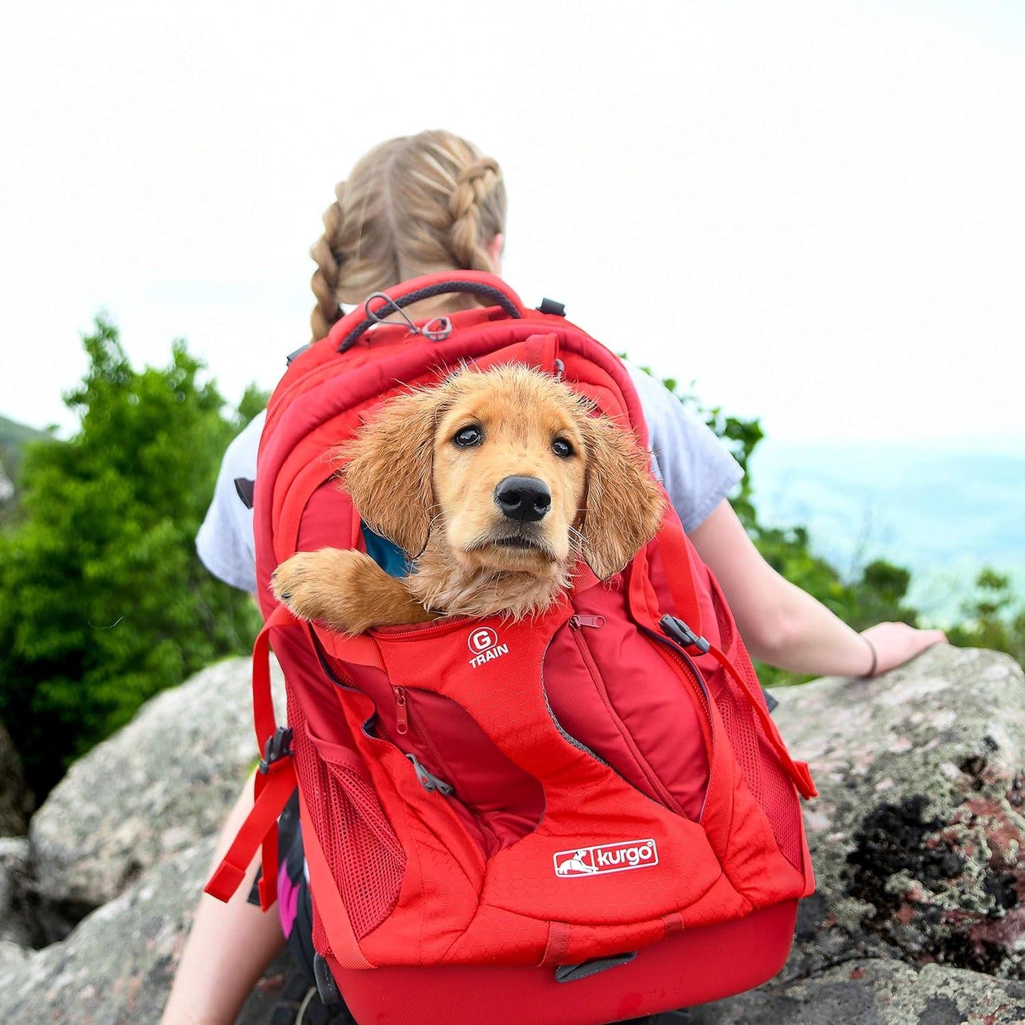 G-Train K9 Rucksack mit Hundefach (bis 11 kg), Standardverpackung Rot