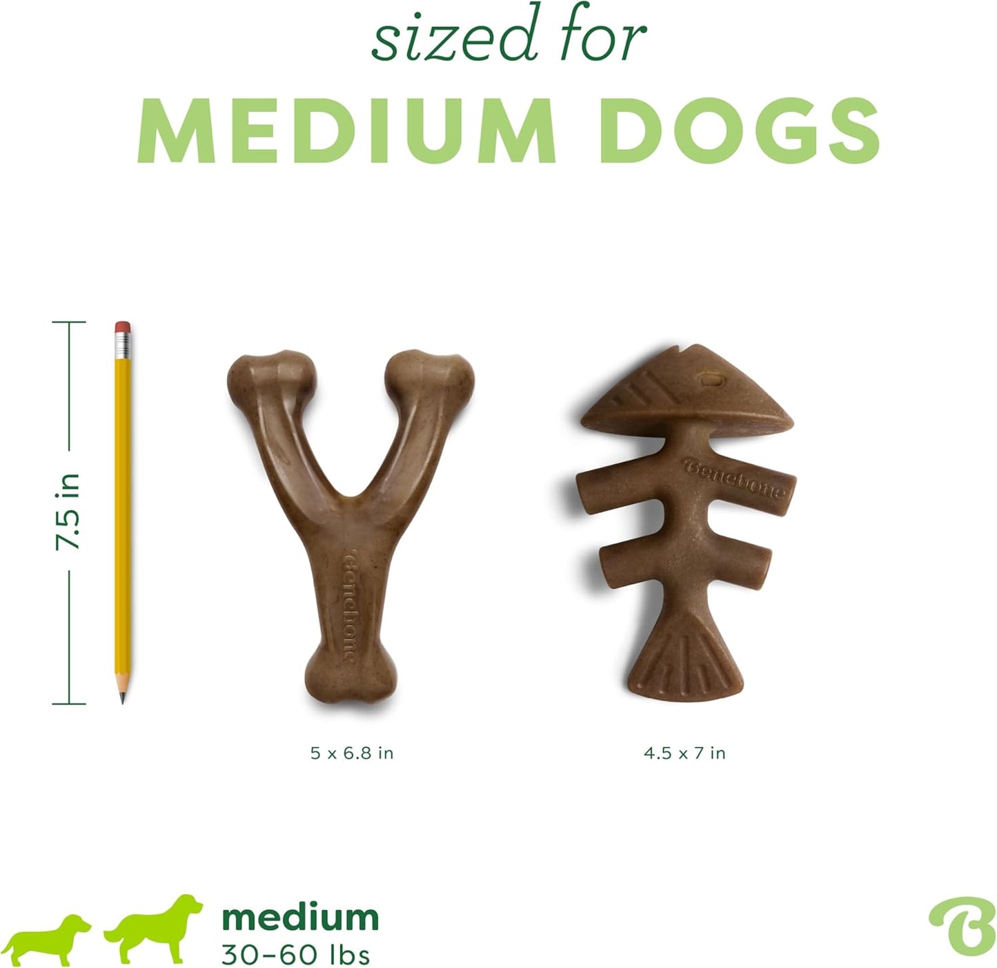 Hundekauspielzeug 2er-Set, Fishbone/Wishbone, Fishbone/Wishbone Medium