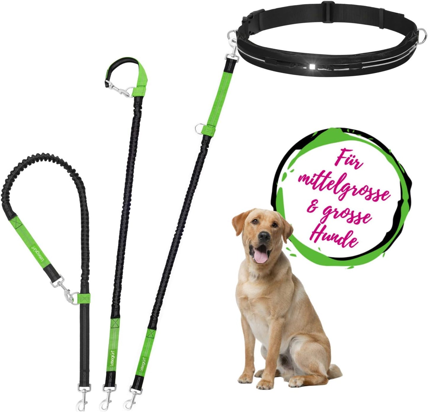 Jogging- und Freihandleine inkl. Bauchgurt, Ruckdämpfer & faltbarem Fressnapf, Set Joggingleine - Grosse Hunde Schwarz