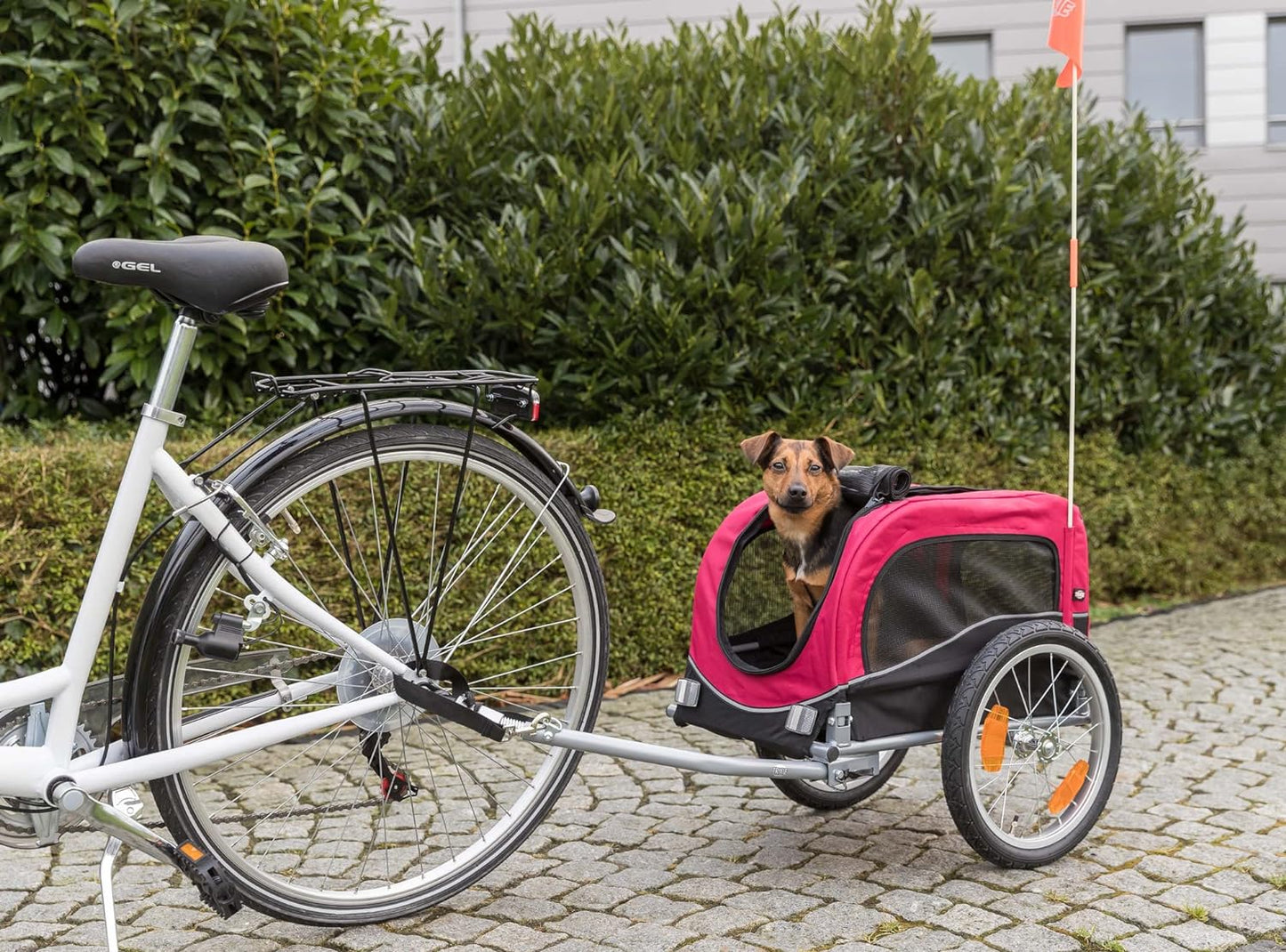 Velo-Anhänger für Hunde, S, Single