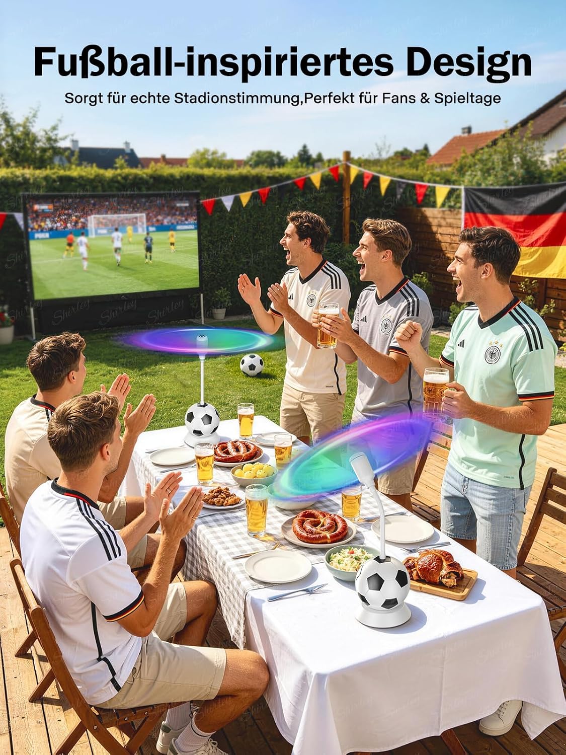 2er-Set Fliegenvertreiber mit Fussball-Design
