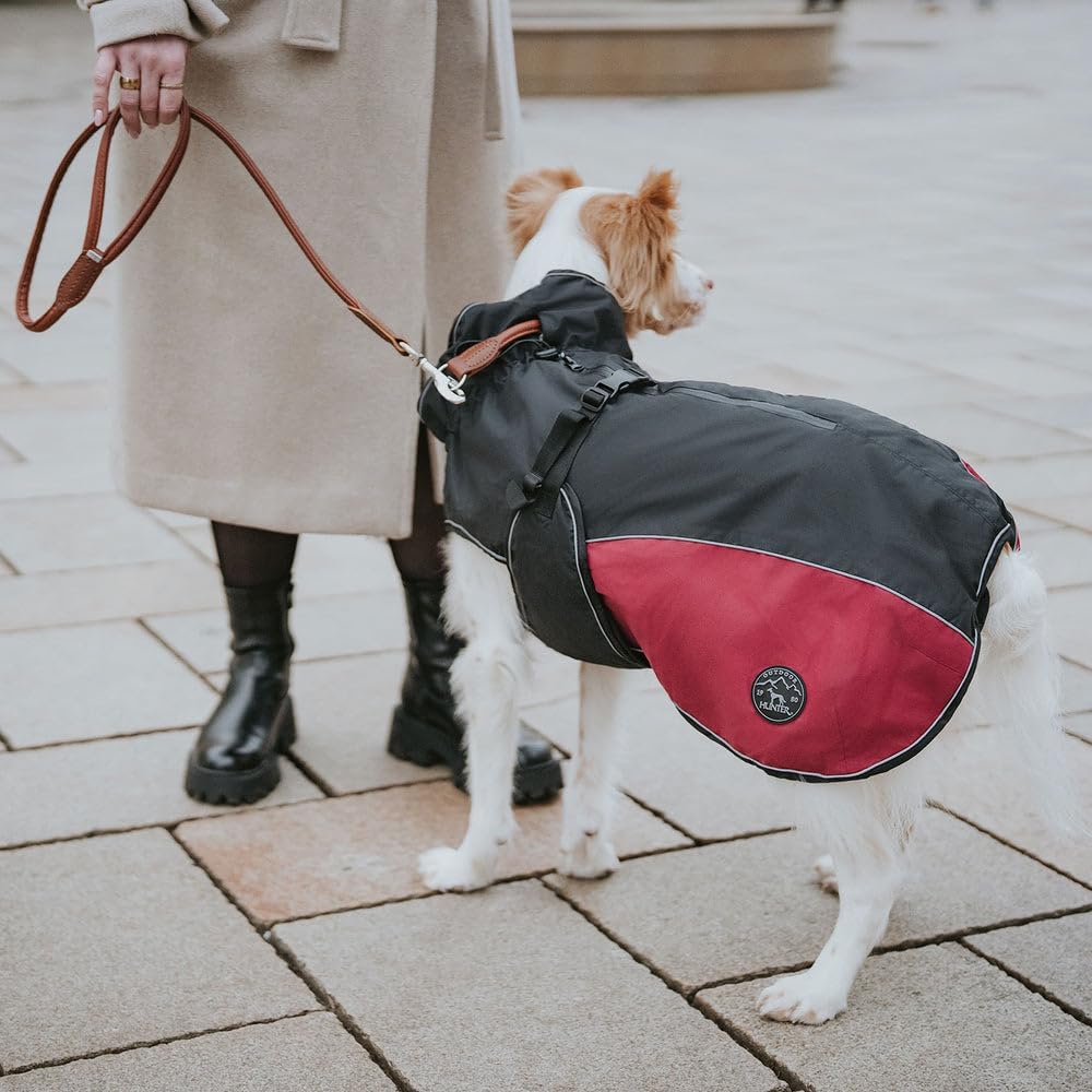 Hundemantel Uppsala Cozy, wasser- und windabweisend, 45 anthrazit/rot