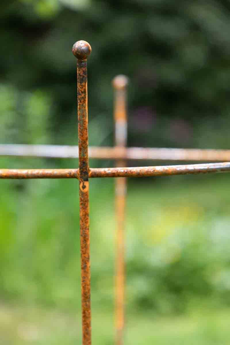 Staudenhalter, Höhe 60cm