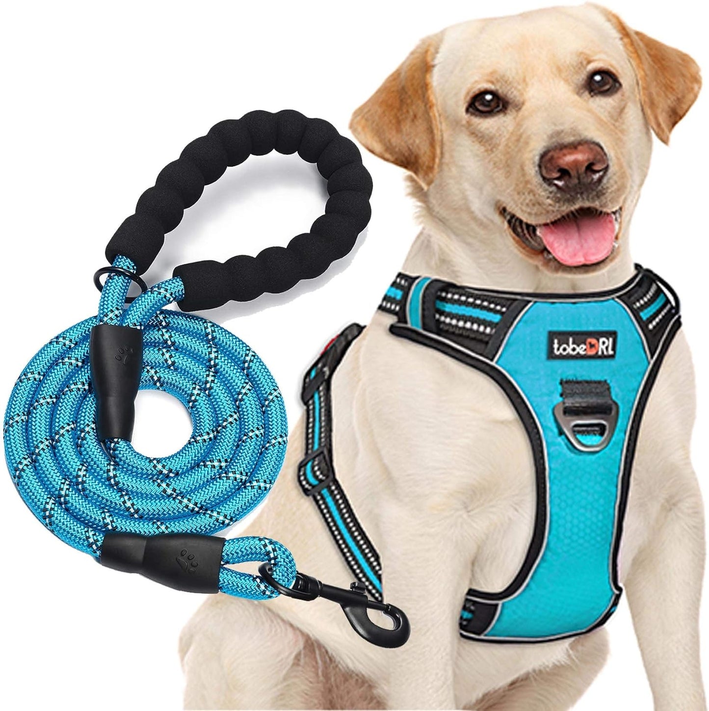 Hundegeschirr mit Leine, L (Chest: 25.5"-31") Blau Geschirr + Leine
