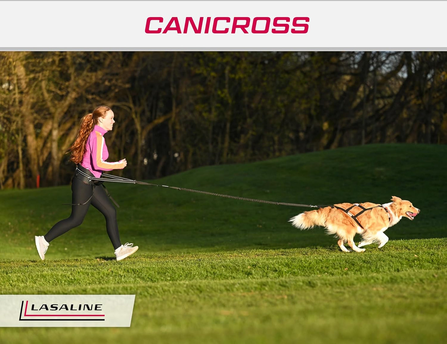 Hunde-Zuggeschirr für Canicross & Dogscooter, XS
