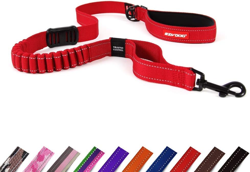 Elastische Hundeleine mit Ruckdämpfer, Rot 2.5cm x 120cm