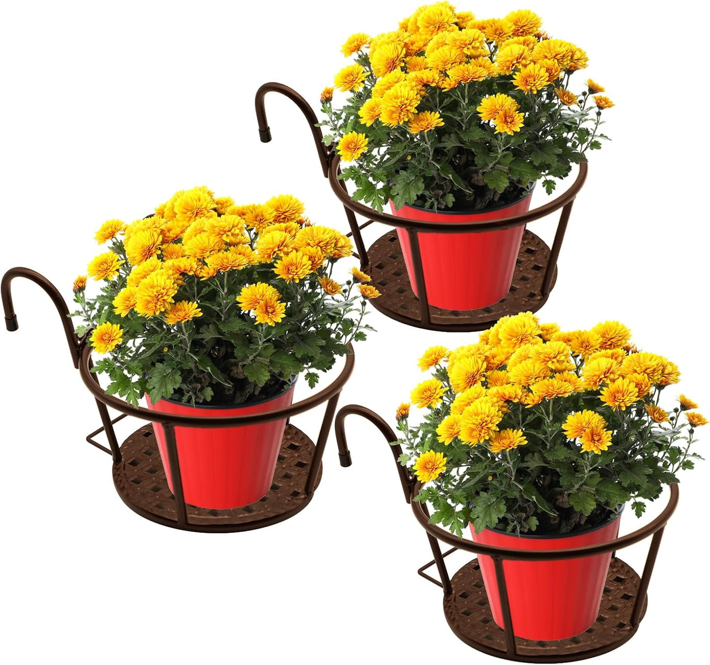 Hängeblumenkörbe (3 Stück), Champagne