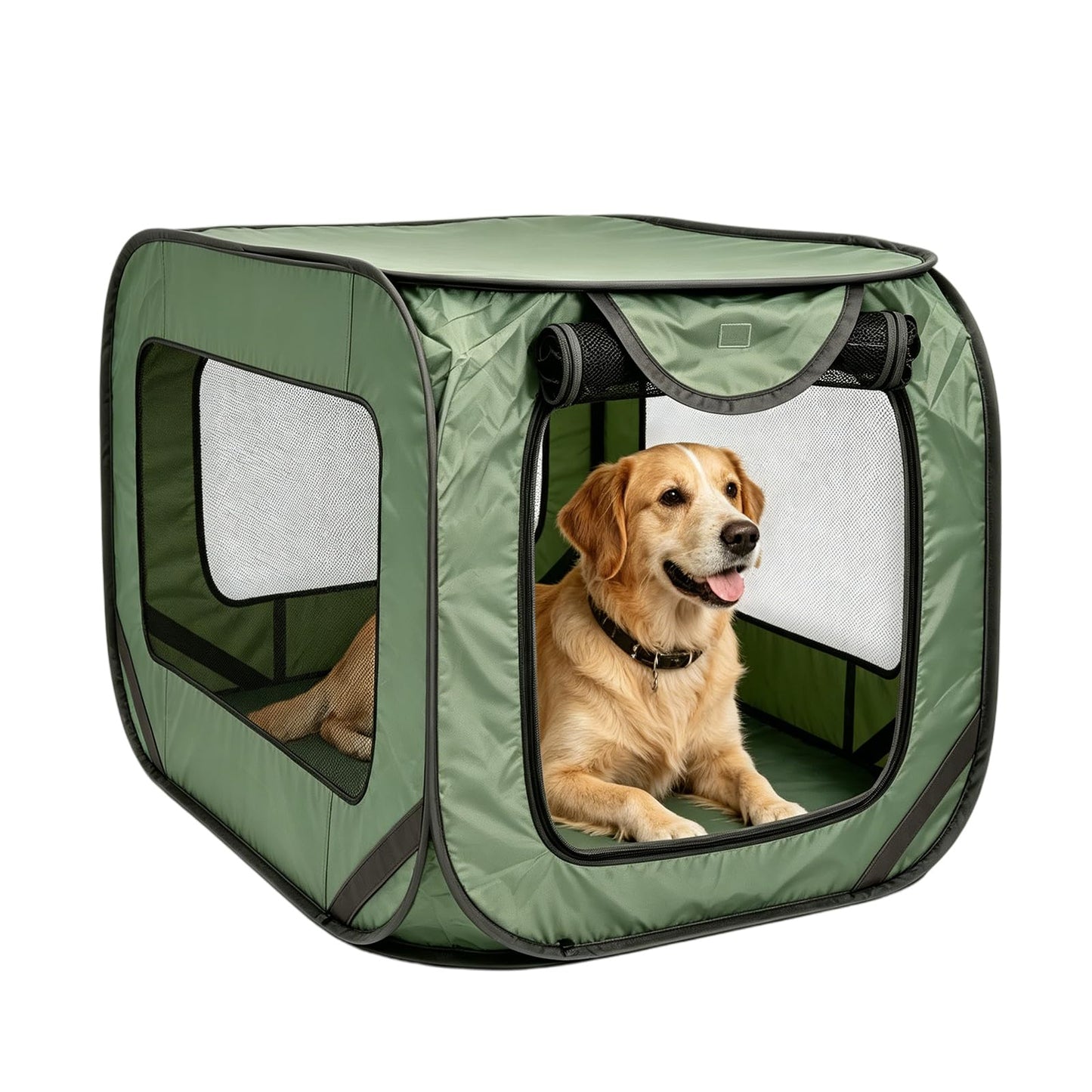 Faltbare Hundetransportbox für Auto und Reisen