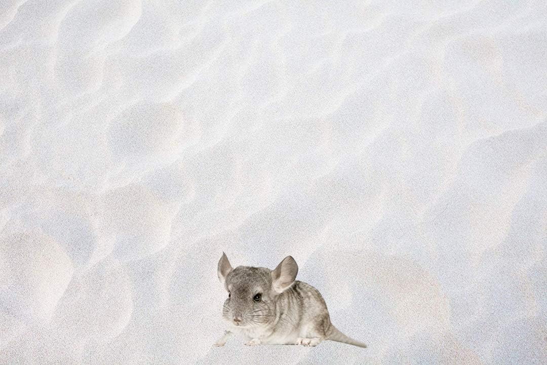 Badesand, 25.0 Kilogramm