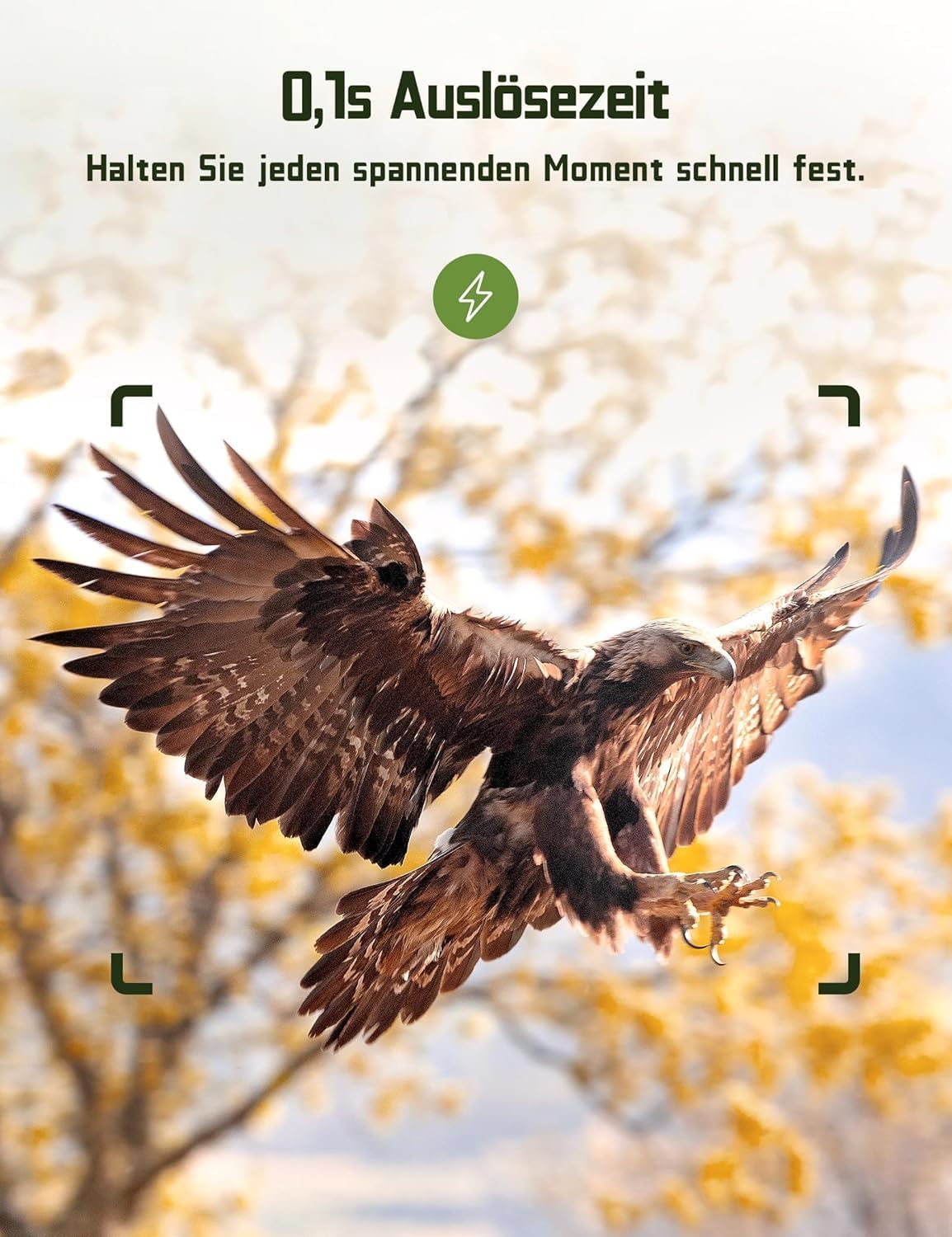 Wildkamera mit 4K HD und Bewegungsmelder