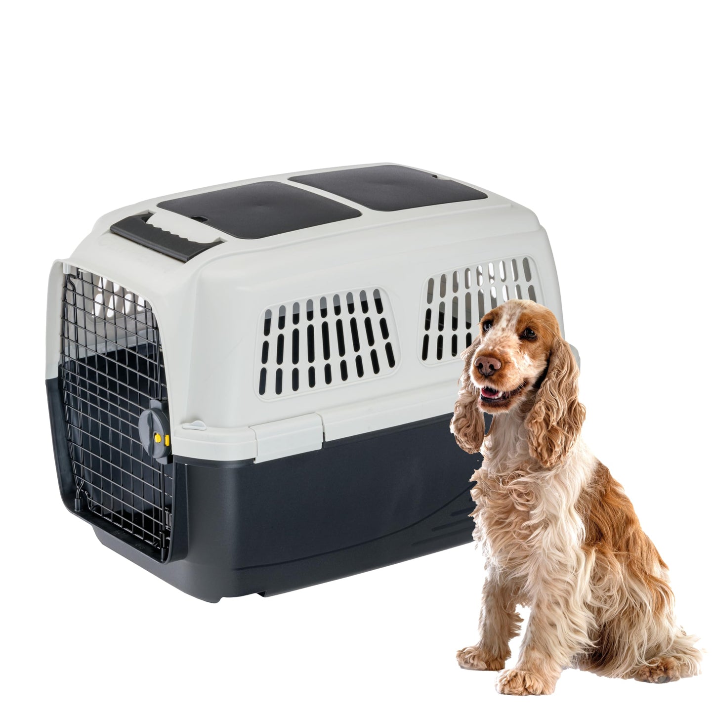 Hundetransportbox Clipper Plus 4, 71 x 50 x h 51 cm.