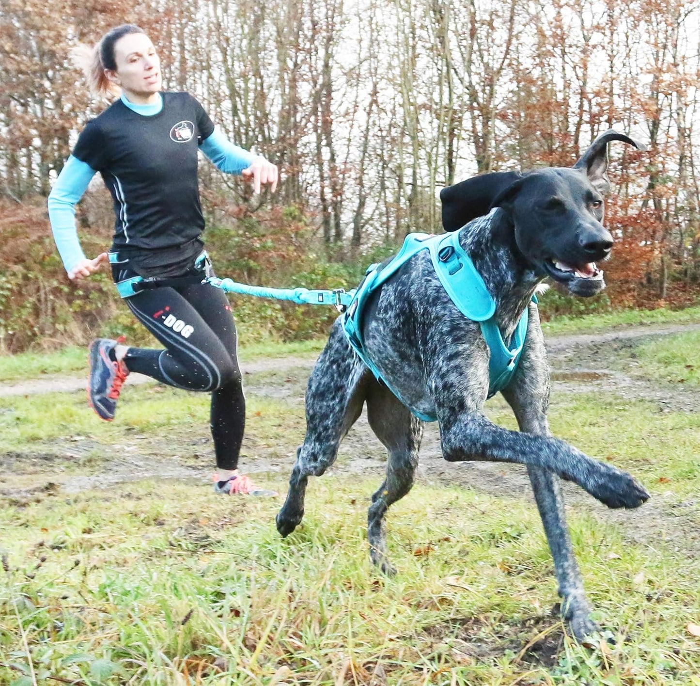 Hundesportleine Medium Dog, Alm-Serie, 190 cm, MEDIUM DOG 190