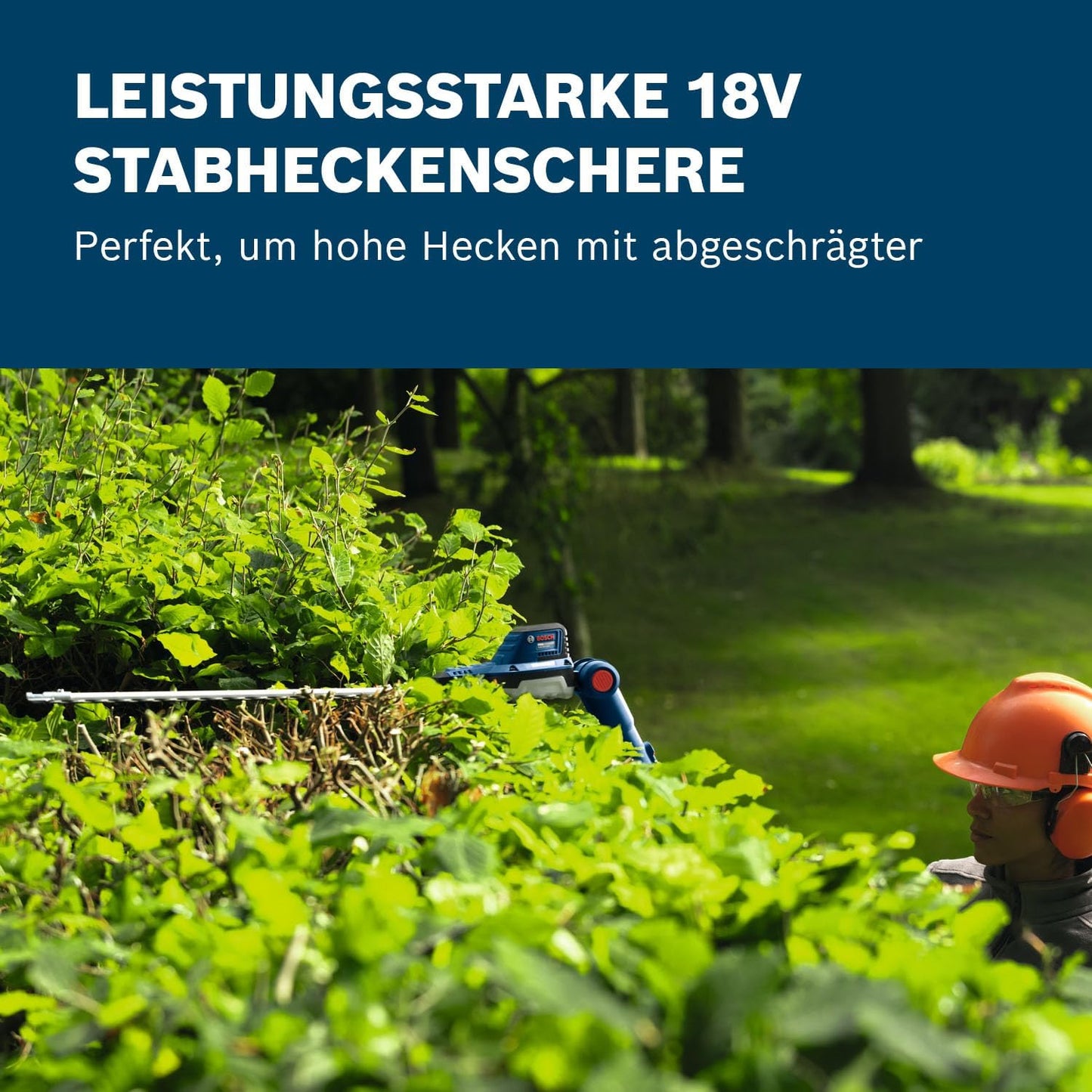 Akku-Stabheckenschere GHE18V-50