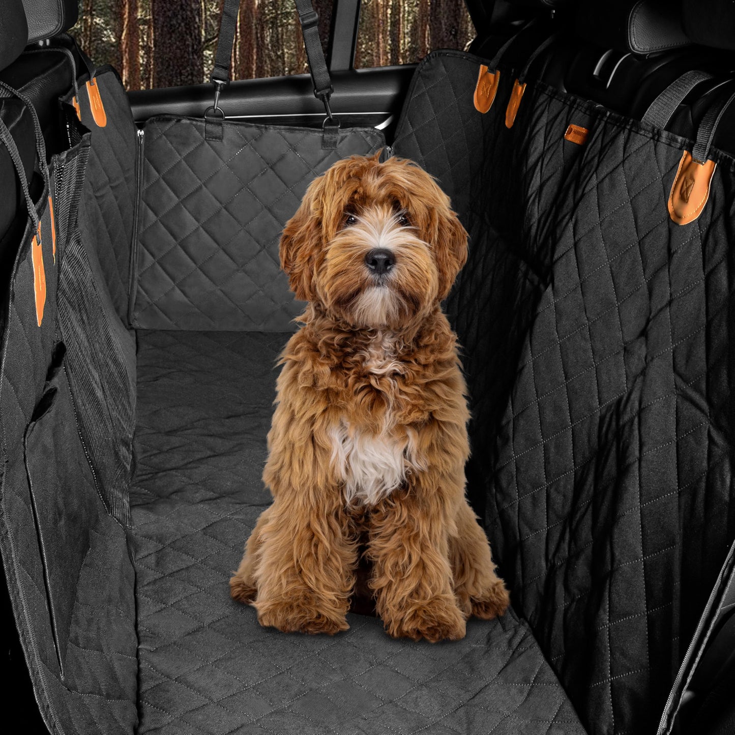 Hundedecke für die Auto-Rückbank