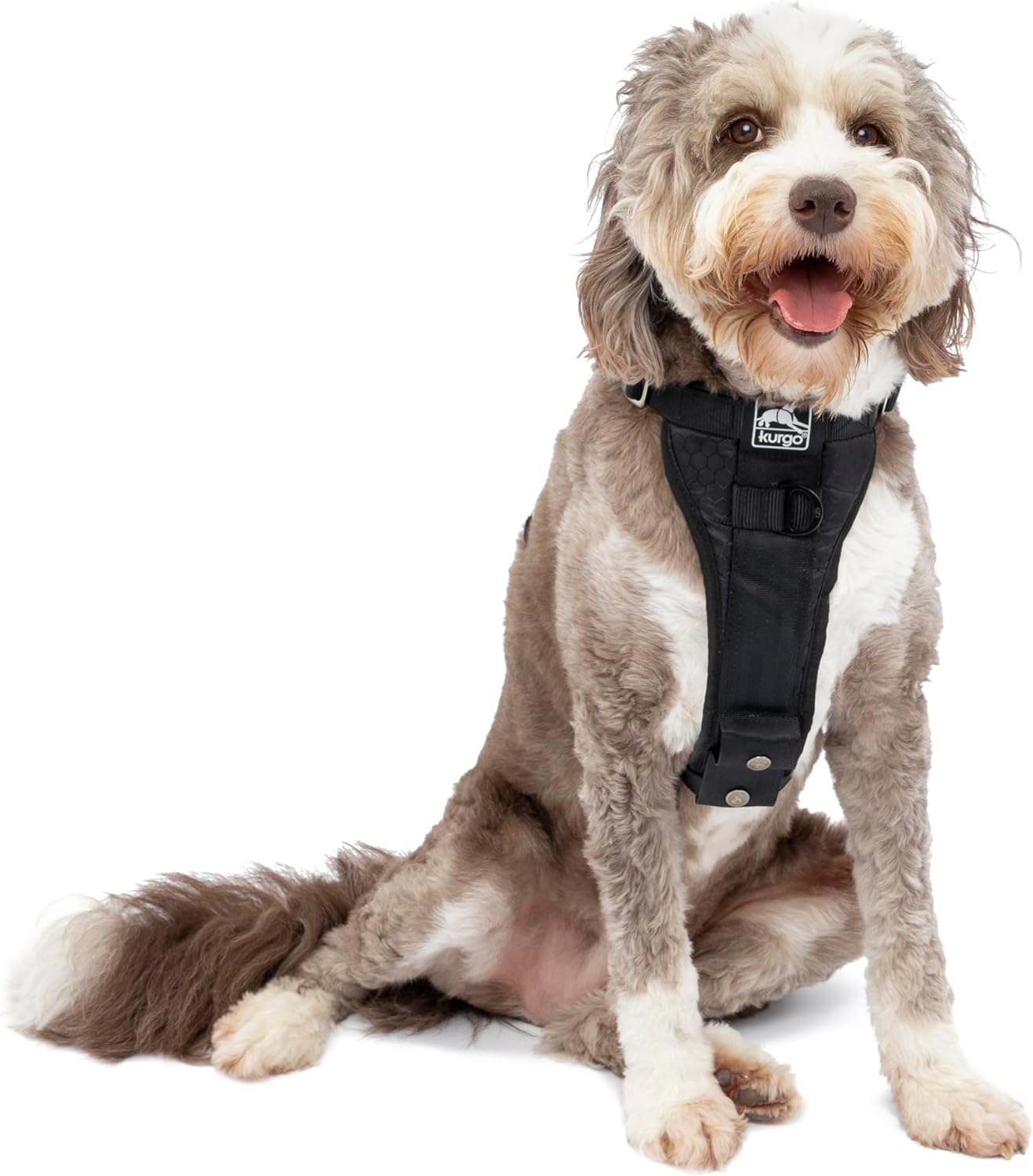 Hundegeschirr, Schwarz L