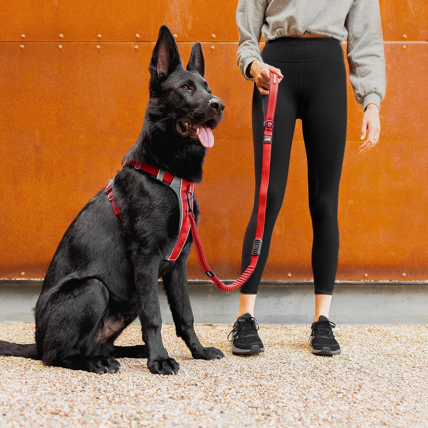 Reflektierendes No-Pull Hundegeschirr, XS, Blau