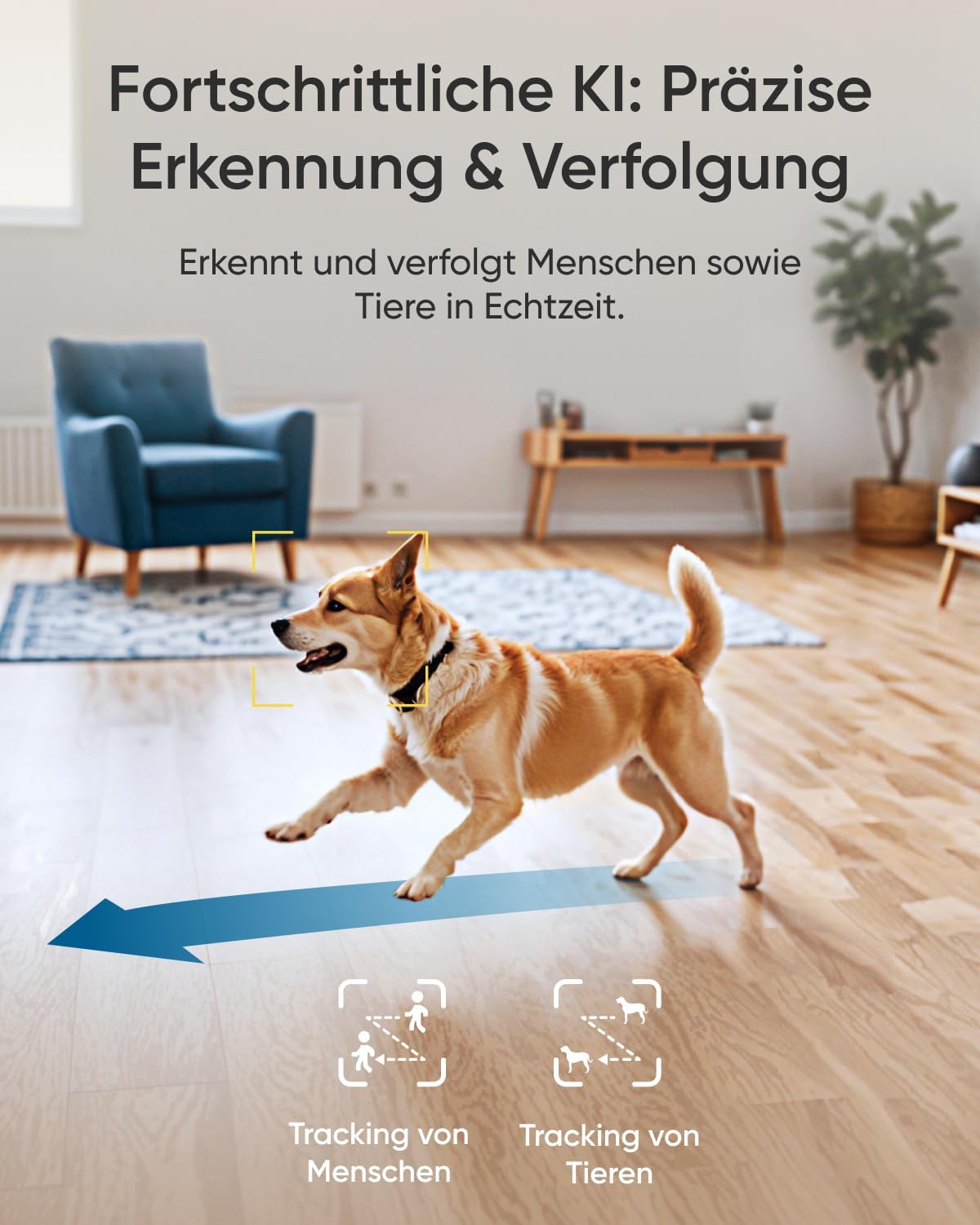 Innenkamera E30 mit 4K UHD und Auto-Tracking, 1 Stück