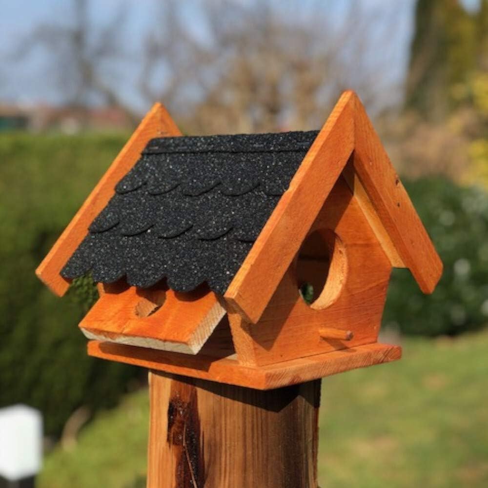 Eichhörnchen Futterhaus, Schwarz - Braun