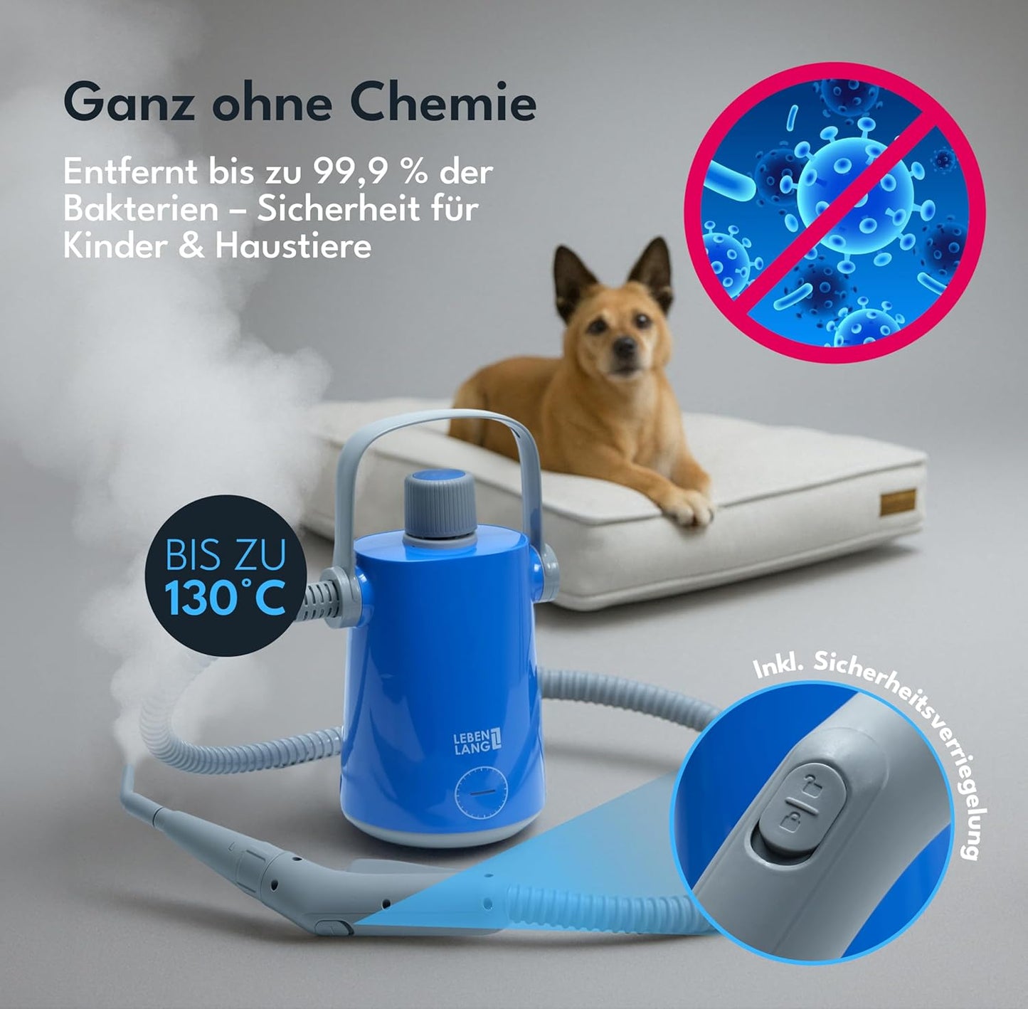 Handdampfreiniger, Dampfreiniger