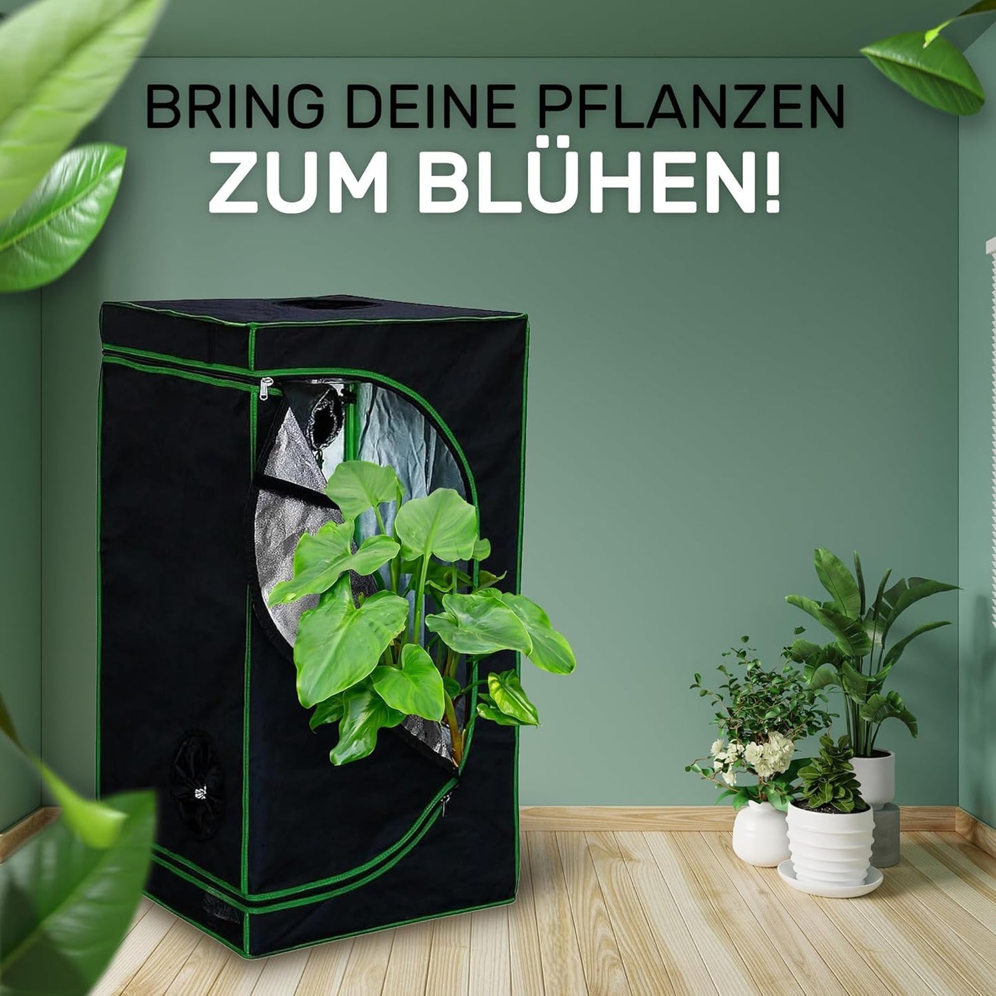 Growbox-Set, 80 x 80 x 220 cm