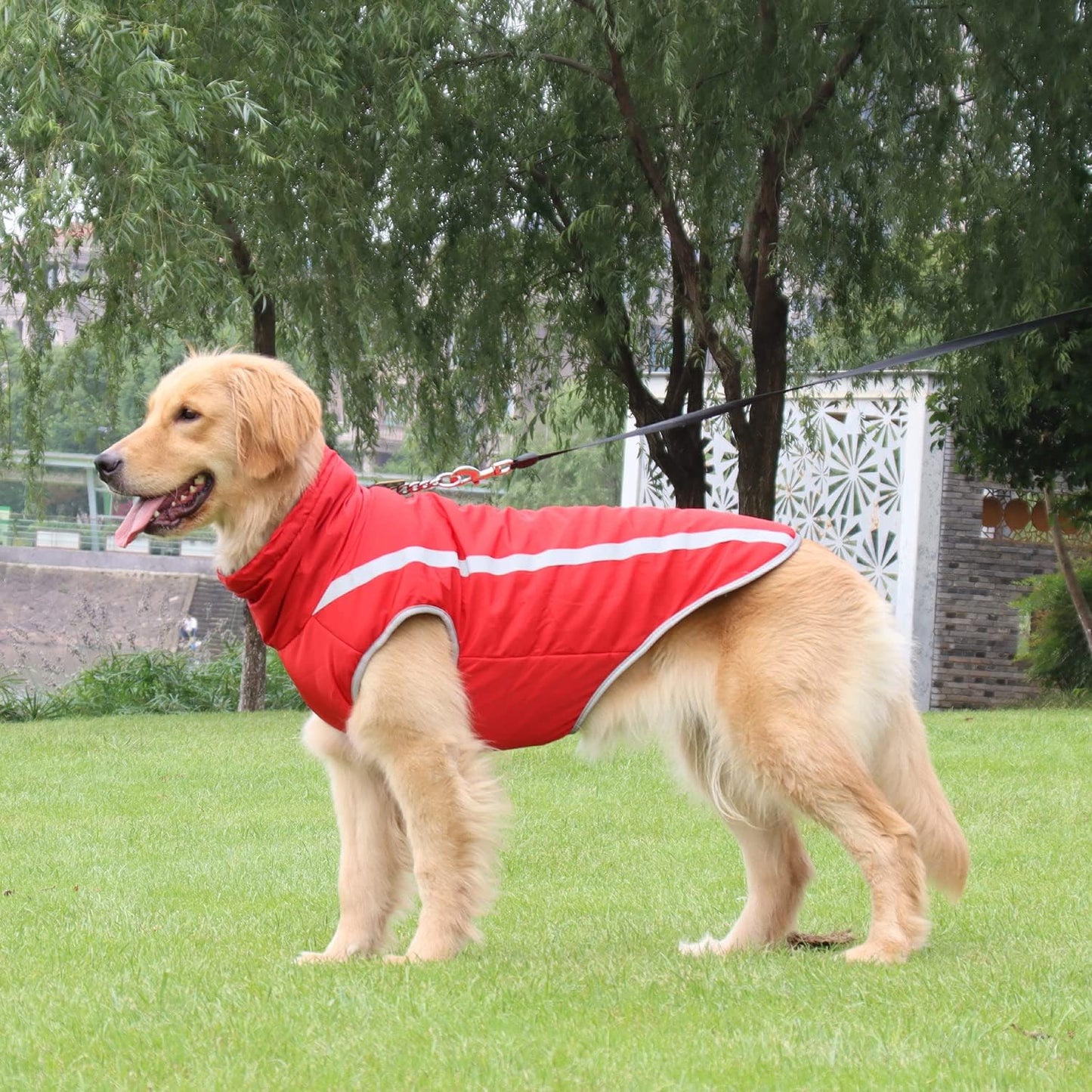 Wasserdichter Hundewintermantel, Rot 3XL