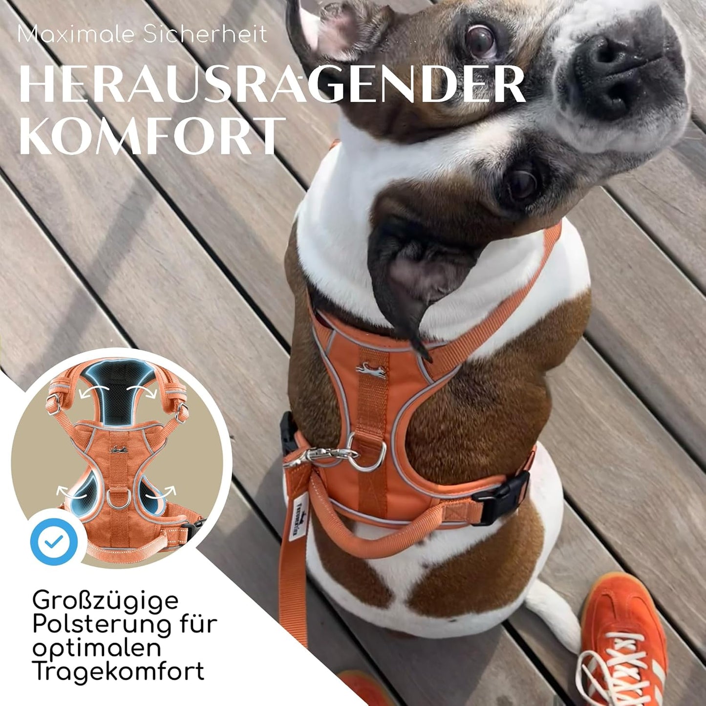 Anti-Zug Hundegeschirr, L Orange