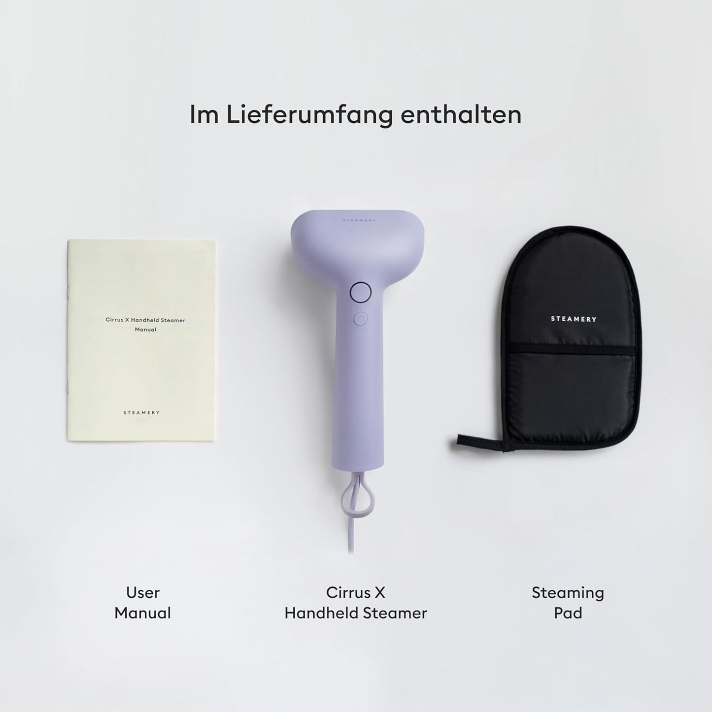 Dampfglätter Cirrus X, Violett