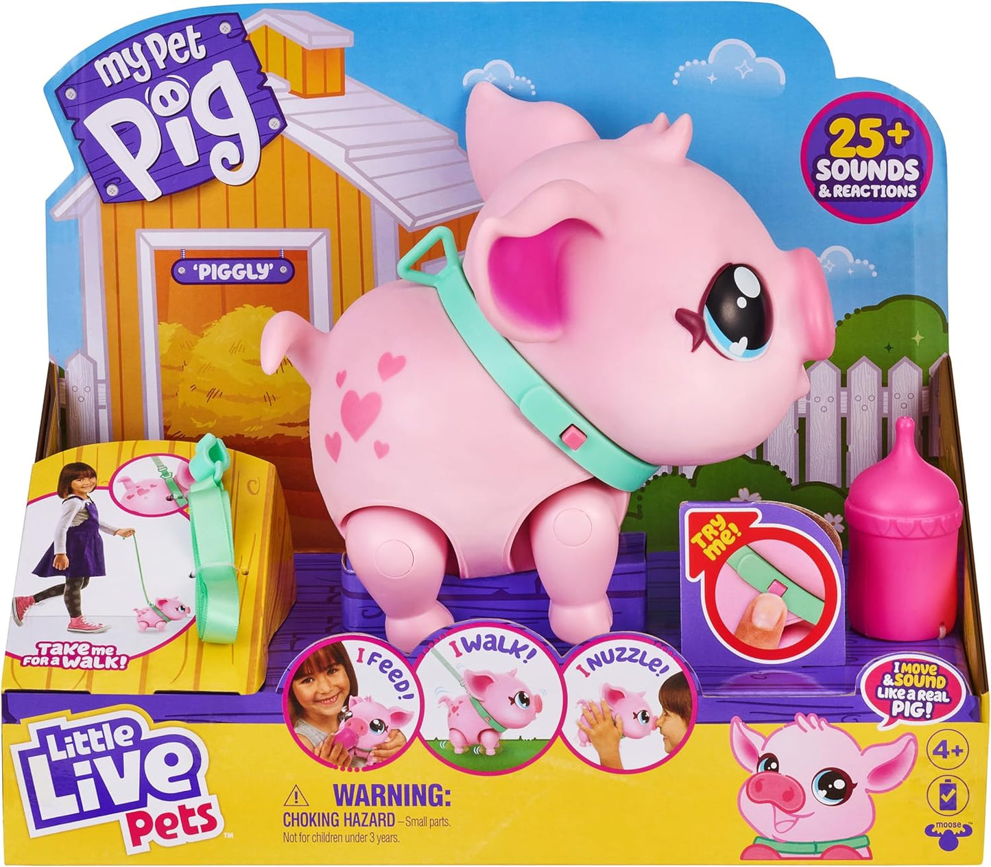 Mein Haustier Schwein, Pig